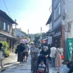 Private tour to Arashiyama and Uji w/Spanish speaking Guide - What Makes This Tour Stand Out?