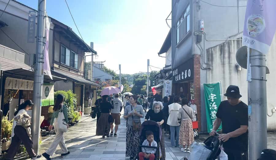 Private tour to Arashiyama and Uji w/Spanish speaking Guide - What Makes This Tour Stand Out?