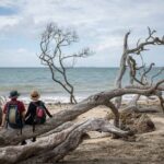 Private Tour to Mount Healthy National Park - Analyzing the Value of the Tour