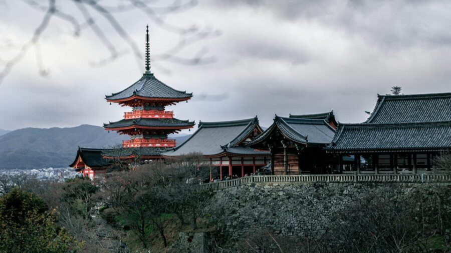 Private tour to Osaka&Kyoto&Nara(Pickup location selectable) - Transportation & Comfort