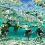 Private Tour to Paradise Island with Snorkel & Manatee Sanctuary - What’s Included & What to Expect