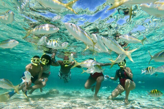 Private Tour to Paradise Island with Snorkel & Manatee Sanctuary - What’s Included & What to Expect