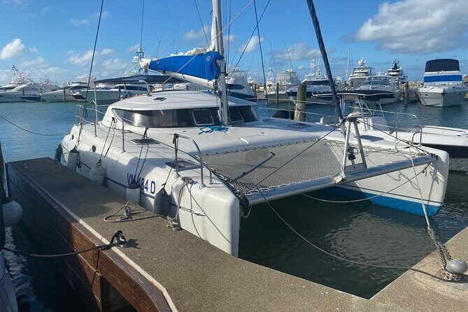 Private Tour to Saône Island - What to Expect on the Private Saône Island Tour