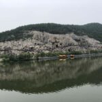 Private tour to the Longmen Grottoes and White Horse Temple (Baima) - Transport and Comfort