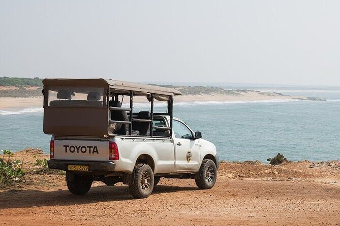 Private Tour: Udawalawe National Park Safari - Wildlife and Sightings: What You Can Expect