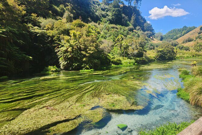 Private Tour WaiOtapu & Huka Falls & Blue springs from Auckland - A Deep Dive into the Itinerary
