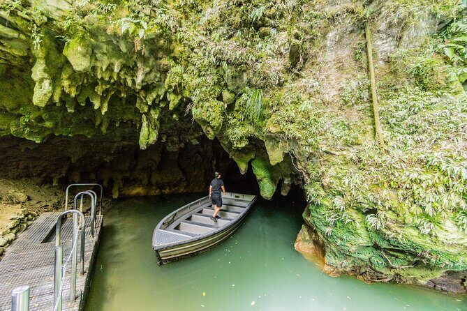 Private Tour Waitomo Caves from Auckland - What Makes This Tour Stand Out?