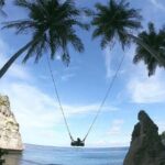 Private Tour West Nusa Penida with T-Rex Beach - Who Should Consider This Tour?