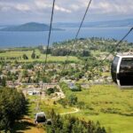 Private Tour Ziplining Forest Adventure from Rotorua - What’s Included & What’s Not
