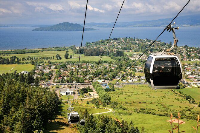 Private Tour Ziplining Forest Adventure from Rotorua - What’s Included & What’s Not