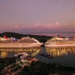 Private Transfer from Adelaide Port to Adelaide Airport (ADL) - The Booking Experience & Overall Value