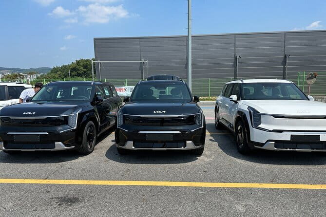 Private Transfer from Incheon Airport-ICN to Seoul - What to Expect on the Day