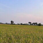 Private Transfer From Siem Reap to Bangkok Thailand - Authentic Feedback from Past Travelers