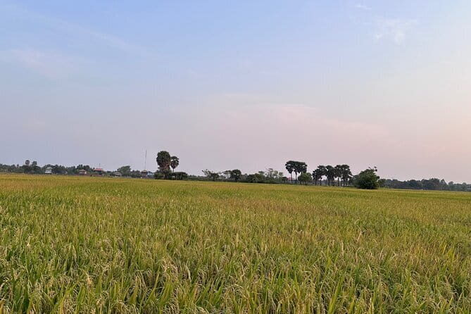 Private Transfer From Siem Reap to Bangkok Thailand - Authentic Feedback from Past Travelers