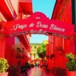 Private Transfer Puerto Plata to Cibao Airport - Breaking Down the Itinerary