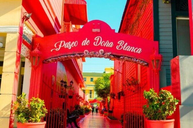 Private Transfer Puerto Plata to Cibao Airport - Breaking Down the Itinerary