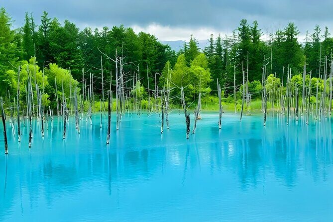 Private Transport in Hokkaido with English Speaking Driver - Final Thoughts