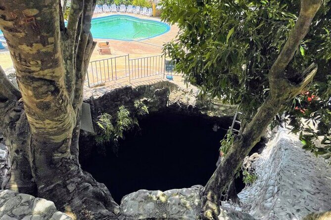 Private Trip to Blue Hole Mineral Springs, Negril & Ricks Café - Practical Details & What to Expect