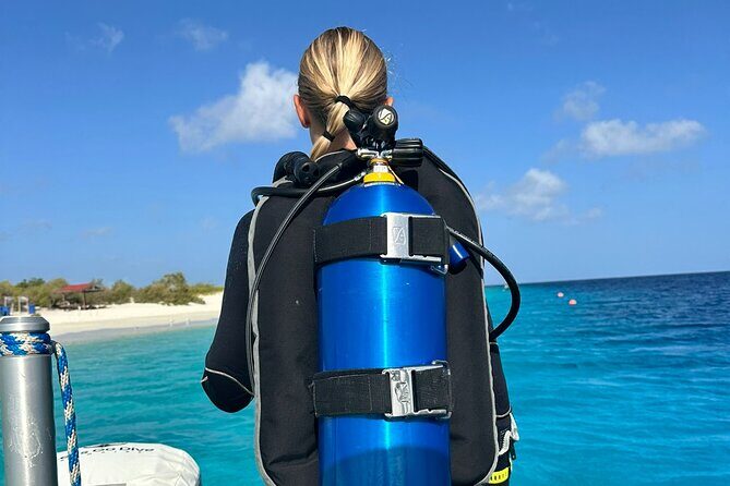 Private Two Tank Boat Dive in Bonaire 2 persons - Practical Details & Value