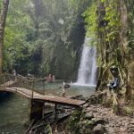 Private Ubud Tour: Sacred Monkeys, Coffee, Temple, Waterfall - The Practicalities: How the Tour Works