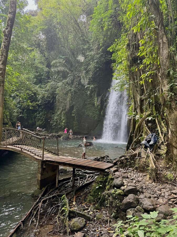 Private Ubud Tour: Sacred Monkeys, Coffee, Temple, Waterfall - The Practicalities: How the Tour Works