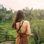 Private Ubud Tour with Monkey Forest and Waterfall - Ulu Petanu Waterfall: A Hidden Gem Surrounded by Greenery