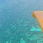 Private Ultralight Seaplane Experience in Guadeloupe - What to Expect: A Step-by-Step Look at the Flight