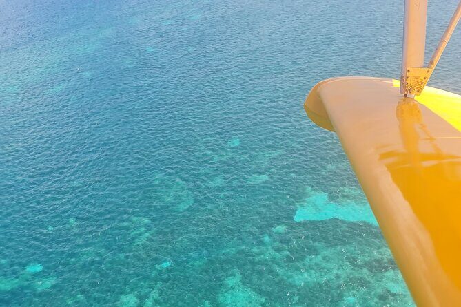 Private Ultralight Seaplane Experience in Guadeloupe - What to Expect: A Step-by-Step Look at the Flight