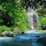 Private VIP Tour of Glass Bridge & Yellow Dragon Cave - Practical Details and Value