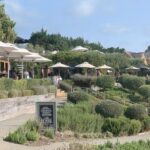 Private Waiheke Food & Wine Tour - An In-Depth Look at the Waiheke Food & Wine Tour