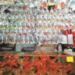 Private Walking Tour: Hong Kong Local Markets Hopper - Final Thoughts: Is the Hong Kong Markets Hopper Tour Right for You?