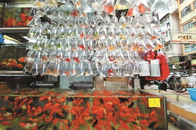 Private Walking Tour: Hong Kong Local Markets Hopper - Final Thoughts: Is the Hong Kong Markets Hopper Tour Right for You?