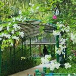 Private Walking Tour of Malé - FAQs