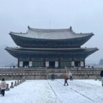 Private walking tour of Seoul: Past and present - Practical Details: How the Tour Works
