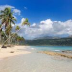 Private: Whale-Watching & Beach Escape from Punta Cana - A Detailed Look at the Tour