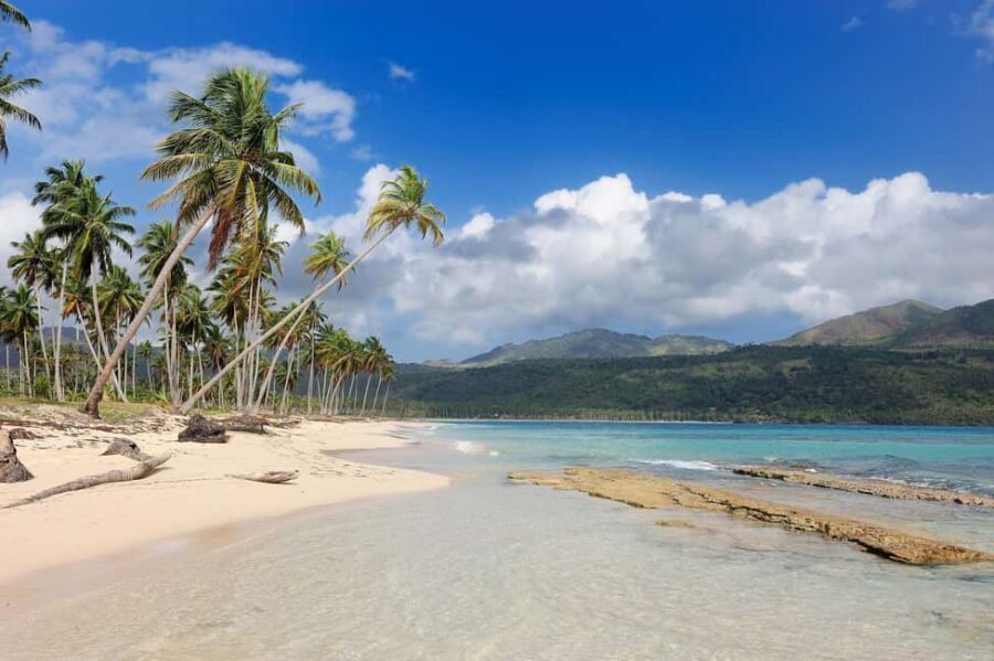 Private: Whale-Watching & Beach Escape from Punta Cana - A Detailed Look at the Tour