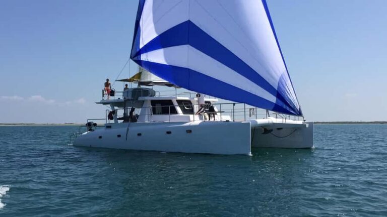 Private Whale Watching Cruise - Mirissa - An Authentic Look at the Private Whale Watching Cruise in Mirissa