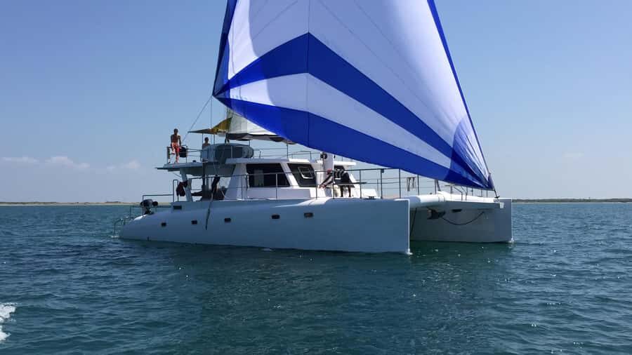 Private Whale Watching Cruise - Mirissa - An Authentic Look at the Private Whale Watching Cruise in Mirissa