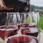 Private Wine Tasting Tour in Mornington Peninsula with Lunch - The Value Proposition: Is It Worth It?