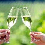 Private Wine Tour in Hunter Valley Pokolbin - Stop 1: First Creek Wines