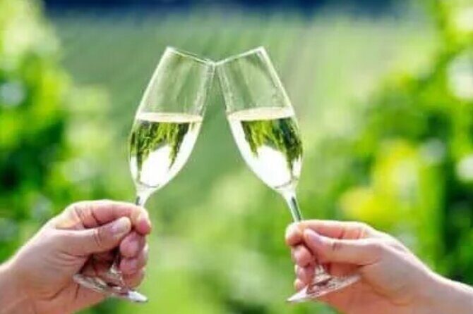 Private Wine Tour in Hunter Valley Pokolbin - Stop 1: First Creek Wines