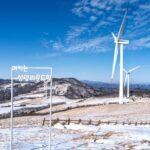 Private Winter Blossom Photo Tour with Free Photo Service - Practical Tips for Your Winter Trip