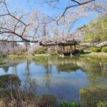 Private World Heritage Gyeongju Taxi Tour - Why This Tour Offers Solid Value