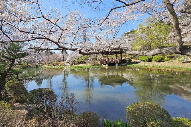 Private World Heritage Gyeongju Taxi Tour - Why This Tour Offers Solid Value