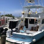 Private Yacht Party Boat Rental Excursion in Ocho Rios, Jamaica - Who Is This Tour Best For?