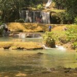 Private YS Falls and Zipline Tour from Montego Bay - Who Is This Tour Perfect For?