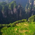 Private Zhangjiajie: Glass Bridge, Terraces & Avatar - Exploring Zhangjiajie National Forest Park