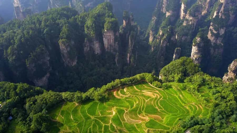 Private Zhangjiajie: Glass Bridge, Terraces & Avatar - Exploring Zhangjiajie National Forest Park