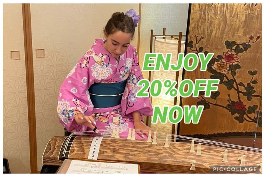 Privately visit local home for tea ceremony &music, Tokyo - Who This Tour Is Perfect For