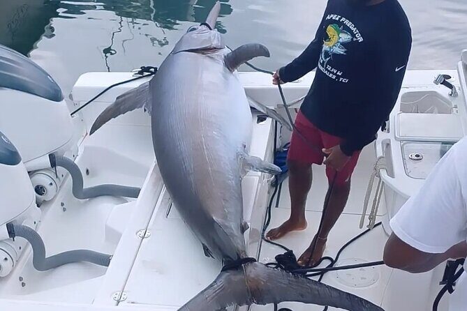 Pro Series Full Day Deep Sea Fishing with Wahooters - The Itinerary in Detail